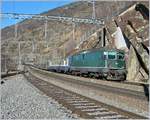The BLS RE 4/4 503 with a RE to Brig in Lalden.
09.02.2008 