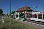 Two BLT trains cross each other in Leymen, France.