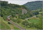 A SBB Re 460 an IC to Basel between Läufelfingen and Buckten on the  Alte Hauenstein Line . 07.08.2018