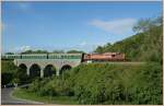 On the glorious Swanage Railway Diesel Gala was also the big 37 503 to see; her by Corfe Castle.