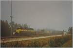 Even in the sunshine state of Florida it can be foggy; In Panama City, the EMD GP38 N° 501 of the Bay Line Railroad shunts some freight cars.

Analogue picture from November 1992