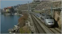 TGV de neige by St Saphorin.
04.03.2012