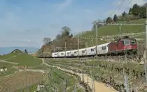 SBB Re 4/4 II 11242 with a Cargo train in the vineyards by Grandvaux.
01.04.2011