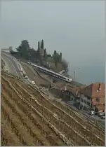 A  Flirt  by St Saphorin. 
25.02.2012