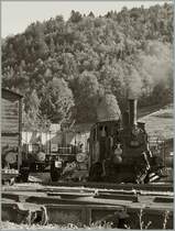 The CTVJ E 3/3 8494 in Le Pont. 
04.10.2009