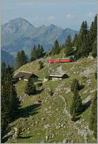 A  Schynige Platte -Train on the way to Wilderswill.
10.09.2012