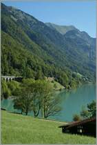 A  Spatz  on the way to Meirigen between Oberried and Ebligen.
27.08.2012