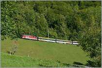 A SBB/ zb  De 110 with a GoldenPass IR by Oberried.
27.08.2012