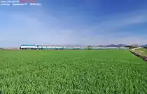 The IC----651 > MILANO c.Le/Livorno c. entrusted to E.444.xxx in transit in and around Ospedaletto (PI)