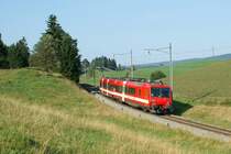 CJ NPZ by Charbonires.
19.08.2009