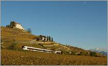 A FLIRT in the vineyards between Cully and Lutry.
11.11.2013