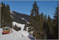 The BLM Be 4/4 N° 22 on the way to Grütschalp near Winteregg.
09.03.2014