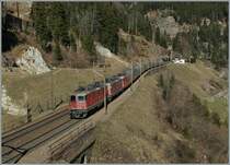 SBB Re 4/4 with an Cargo Train ober Wassen.
14.03.2014