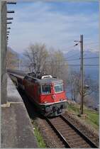 The SBB Re 4/4 II 11139 wiht his IR 2169 from Basel to Locaro by Muralto. 
18.03.2014 