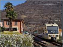 The ABe 4/8  Centovalli-Express  makes a stop in Intagna.
20.03.2014