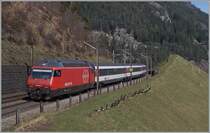SBB Re 460 035-9 with an IR by Wassen.
21.03.2014