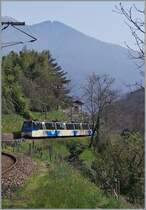 The SSIF Treno Panoramico by Intragna.
20.03.2014