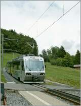 The  Train des Etoiles/Stars train  by Fayaux.
26.07.2011