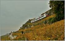 The S31 between Vevey and Chexbres. 
01.11.2013