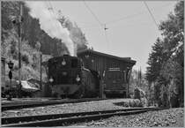 The G 2x 2/2 105 and the BOB HGe 3/3 n°29 in Chaulin.
01.08.2014