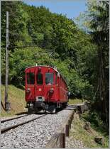 The Rh.B. ABe 4/4 N° 35 near Blonay. 
09.06.2014 