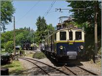 The MOB FZe 6/6 2002 in Chaulin.
09.06.2014