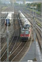 SBB Re 4/4 II 11355 in  Lausanne Triage. 
15.10.2014
