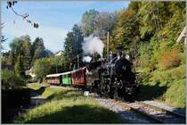 A B-C stemaer train near Blonay. 19.10.2014