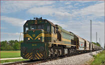 Diesel loc 664-101 pull freight train through Cirkovce-Polje on the way to Koper port. /27.4.2015