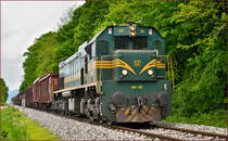 Diesel loc 664-105 pull freight train through Maribor-Studenci on the way to Tezno yard. /30.4.2015