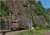 BLS Re 4/4 195 and an other one by Polmengo.
24.06.2015