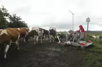 Draisine rail bike from Leck to Unaften in Schleswig-Holstein (North Germany).

Date: 2. August 2011.