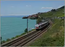 A Flirt by St Saphorin.
08.07.2015