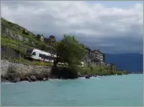 A Flirt by St Saphorin.
08.07.2015