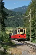 A SPB train near Wilderswil. 12.07.2015