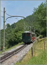 A SPB train by Wilderswil. 12.07.2015