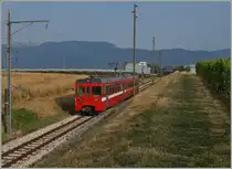 A NStCM local train between La Vuarpillière and Les Plantaz. 
06.07.2015