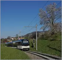 The CEV MVR GTW ABeh 2/5 7505 SURF by St Legeier Gare.
03.04.2017