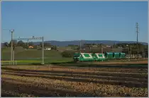 A BAM Cargo train wiht the Ge 4/4 21 ans 22 by Chigny.
10.04.2017