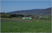 A BAM local train between Ballens and Bière.
10.04.2017