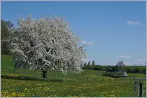 A BAM local train on the way to L'Isle by Apples. 
14.04.2017