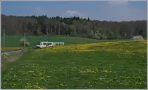 Springtime! A BAM local Train near Apples.
14.04.2017