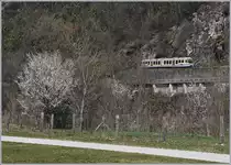 Spring time by the FART near Ponte Brolla.
16.03.2017