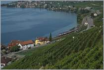 A SBB RABe 511 on the way to Geneve near Epesses.
30.08.2017
