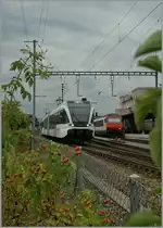 A Thurbo GTW in Romanshorn.
30.08.2012