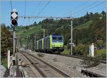 The BLS Re 485 014-5 and two other ones in Mülenen.
10.10.2018