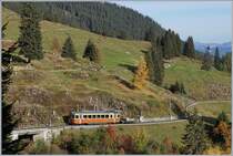 A BLM local train between Grütschalp and Winteregg by the Staubbach-Bridge.
16.10.2018
