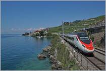 A SBB ETR 610 on the way to Geneva by Rivaz.

19.07.2018