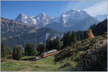 A BLM Be 4/4 by the Grütschalp for the background of the Eiger Mönch and Jungfrau.

17.10.2018 