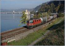 The SBB Re 420 254-5 wiht a Cargo Train by Villeneuve, in the background the Chillon Castle and the steamer  Italie , also on the way to Villenveuve.
18.10.2018
